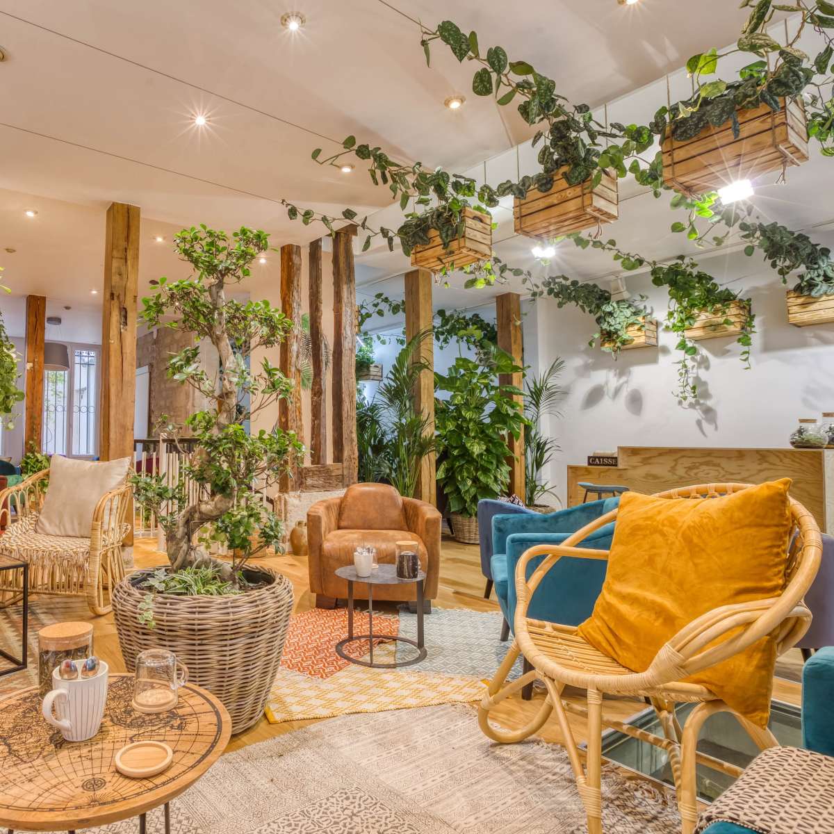 A cozy indoor space filled with various plants, comfortable seating, and decorative accents.