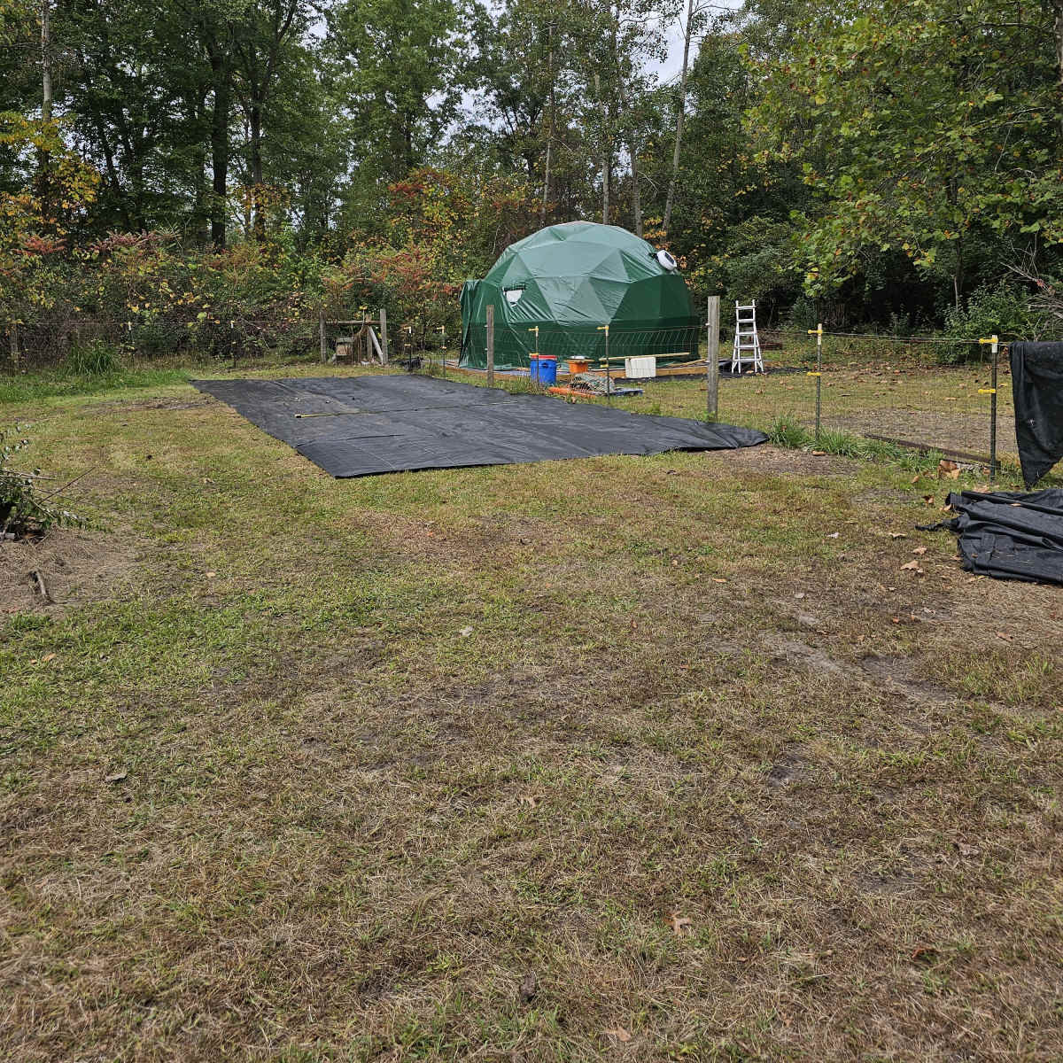 The Oasis Forest in Willis Image in Augusta Township, Willis, MI