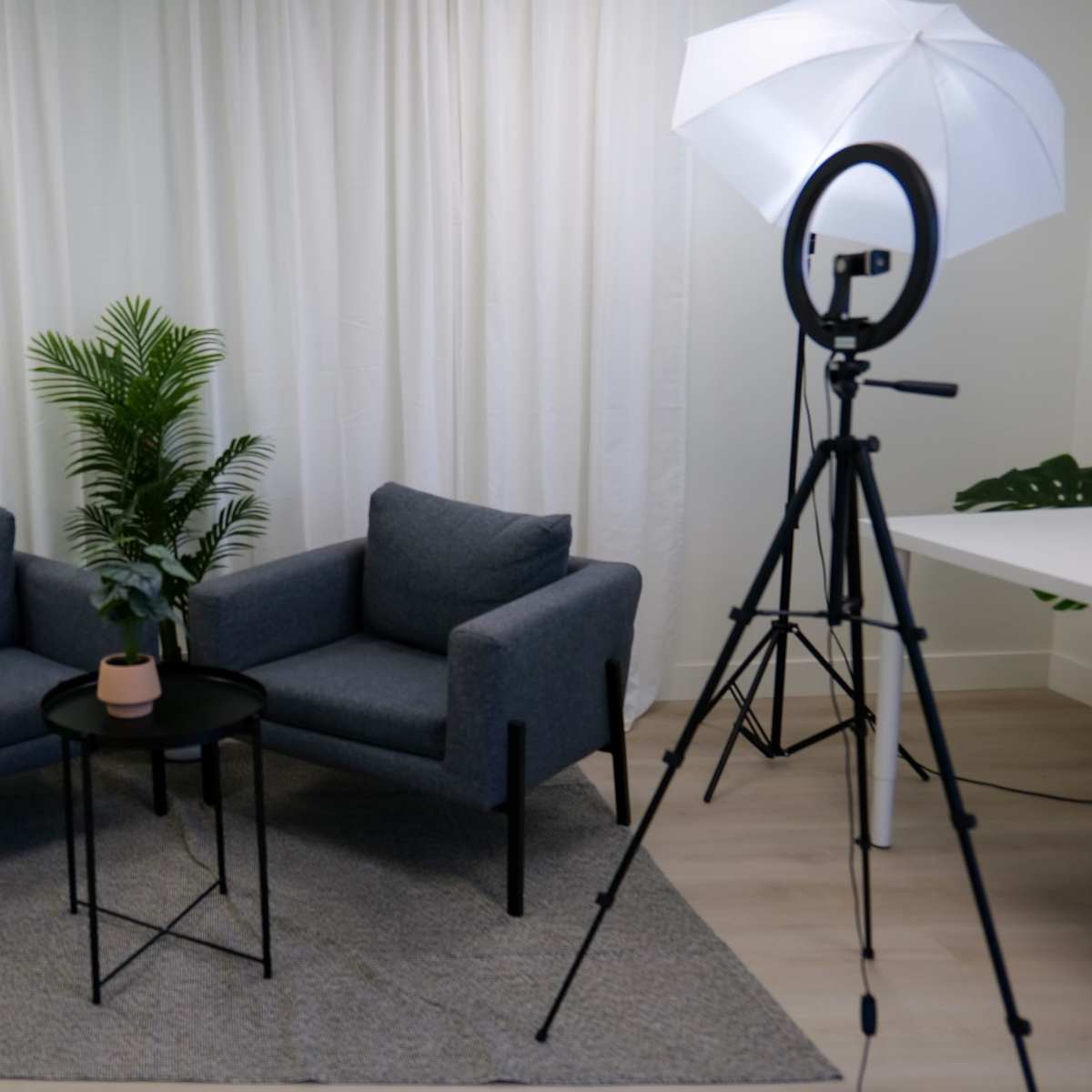 A simple studio setup with two grey chairs, a small black table, a potted plant, and lighting equipment, all against a backdrop of white curtains and a green screen.