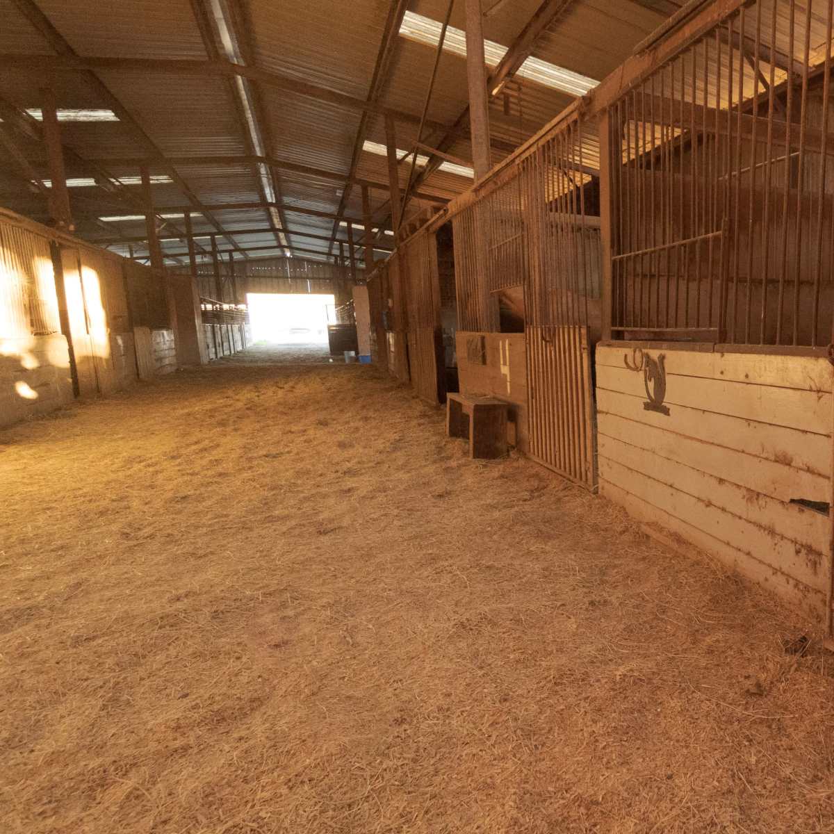 A dimly lit horse stable with several empty stalls and straw covering the floor.
