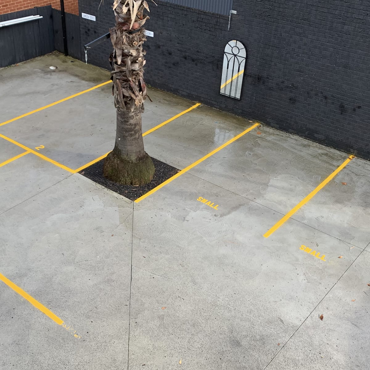 An empty parking lot features several marked spaces with a tree in the center.
