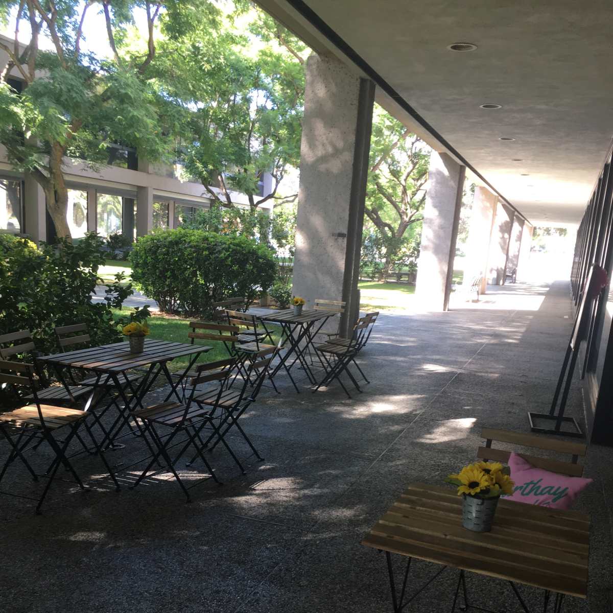 A row of wooden tables and chairs arranged on a shaded outdoor patio, surrounded by greenery.