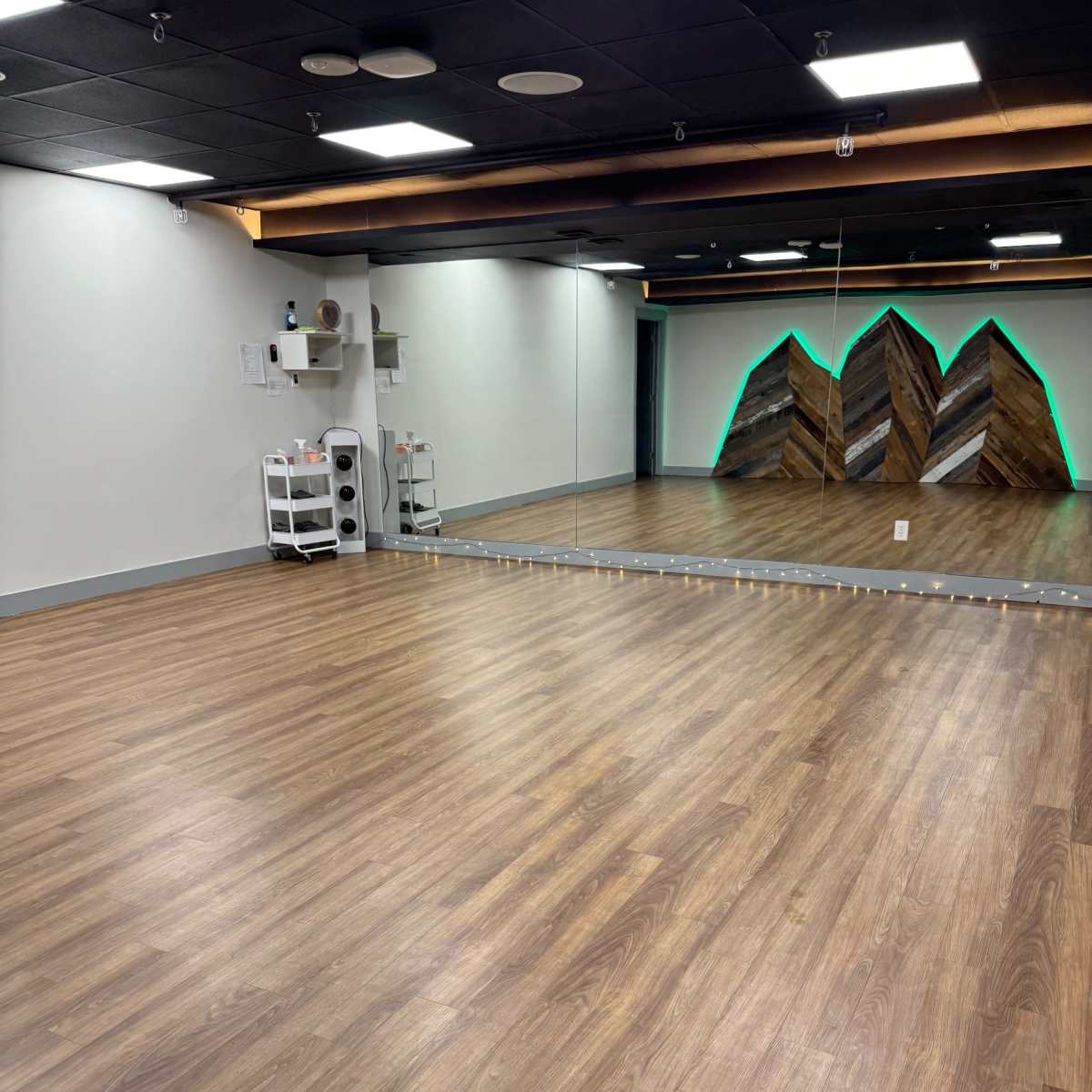 Cozy yoga studio with rustic mountain mural in Aurora Image in Aurora, Aurora, CO