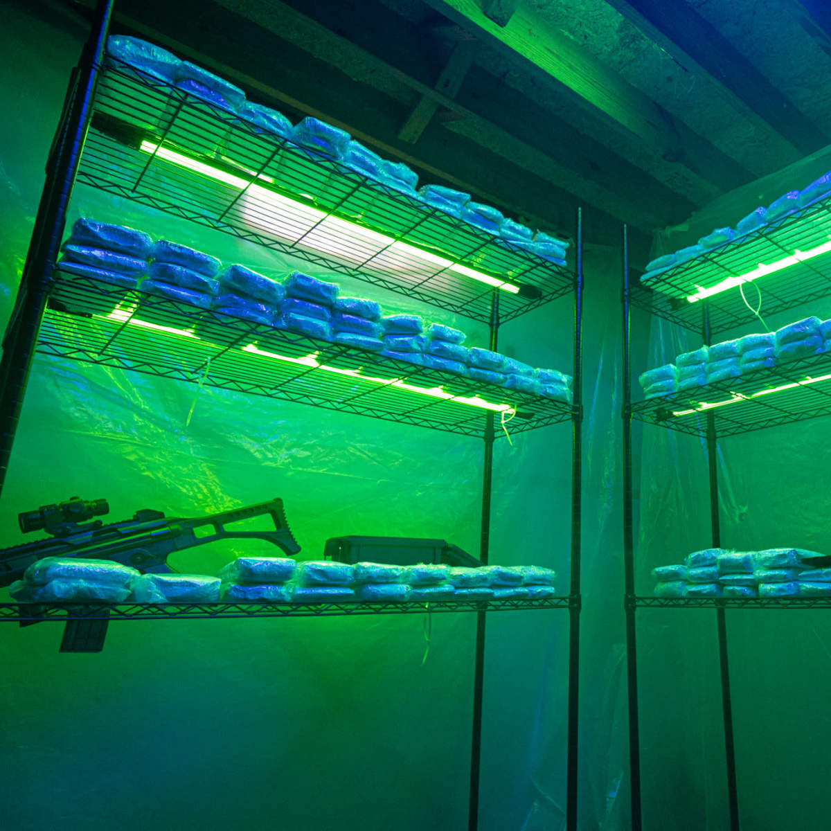 Shelves filled with sealed packages under green lighting in a dimly lit storage area.