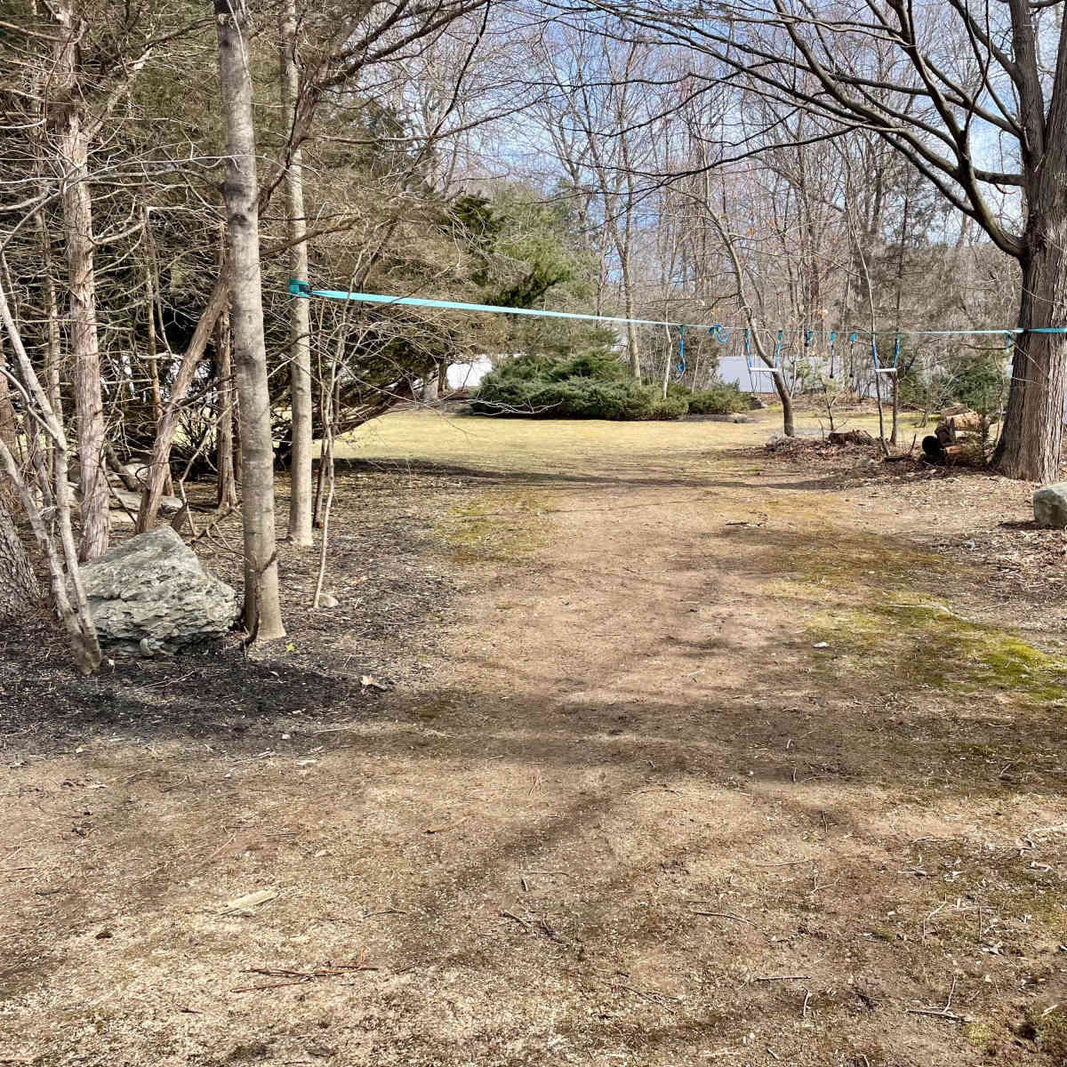 A dirt path winds through a wooded area with bare trees and sparse grass.