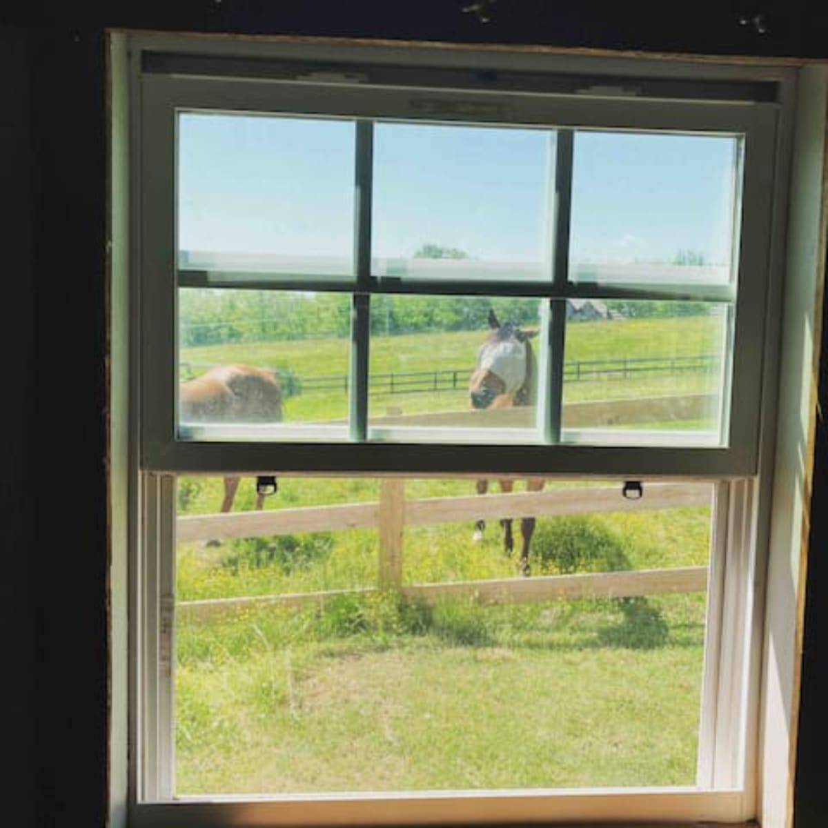 10 Acre Horse Farm with Pastures, Barn, and Cottage, Springfield, TN ...