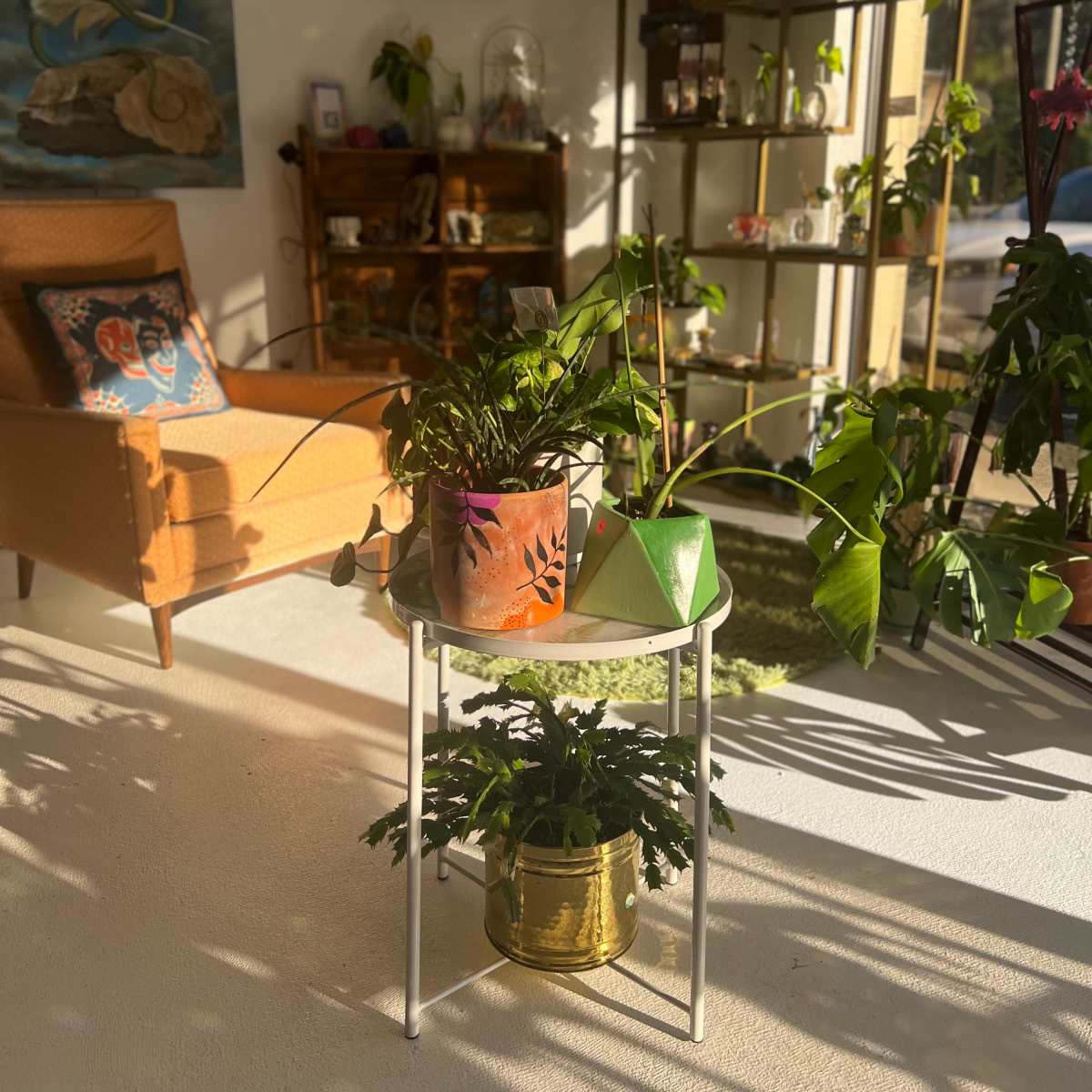 A brightly lit room features a chair, a small table with potted plants, and shelves displaying various items.