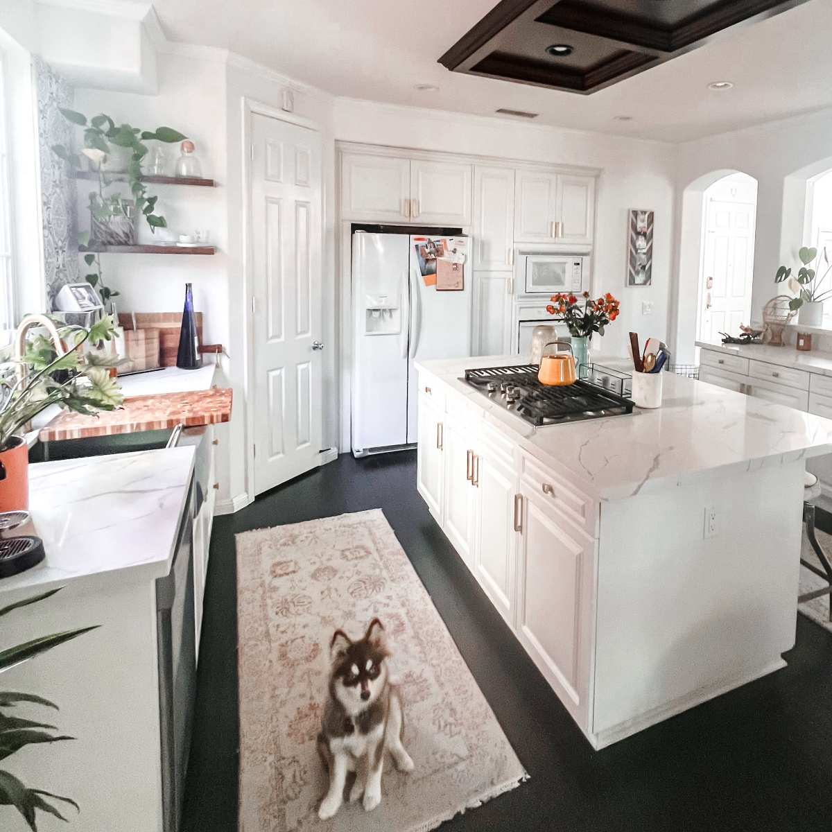 A modern kitchen with white cabinets, a central island, and a small dog sitting on a rug.