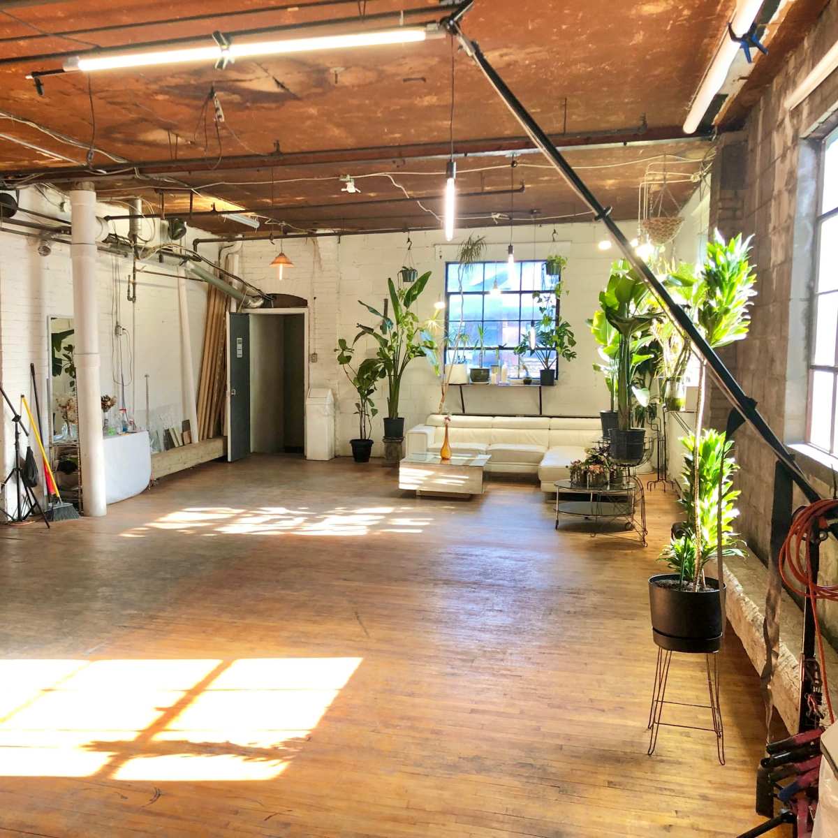 Diverse Multi-Use Studio with Massive Rooftop Downtown in Toronto Image in Downtown Toronto, Toronto, ON
