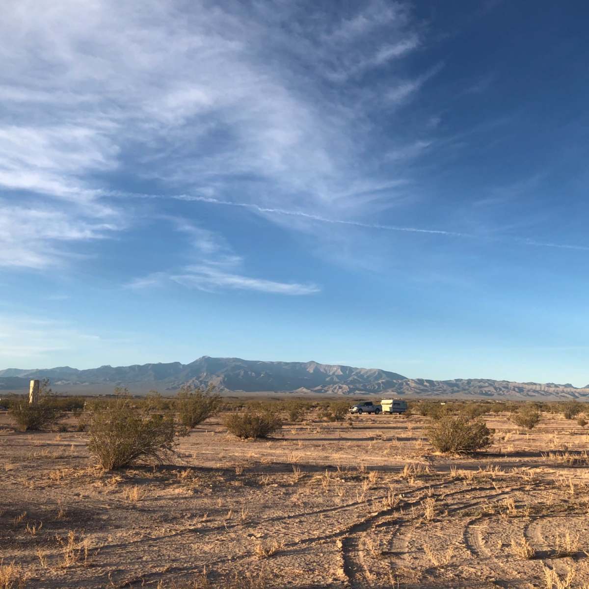 A vast desert landscape with sparse vegetation and distant mountains under a clear blue sky.