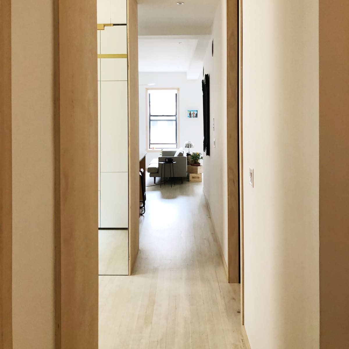 A hallway leads to a glimpse of a living area featuring a plant and sofa.