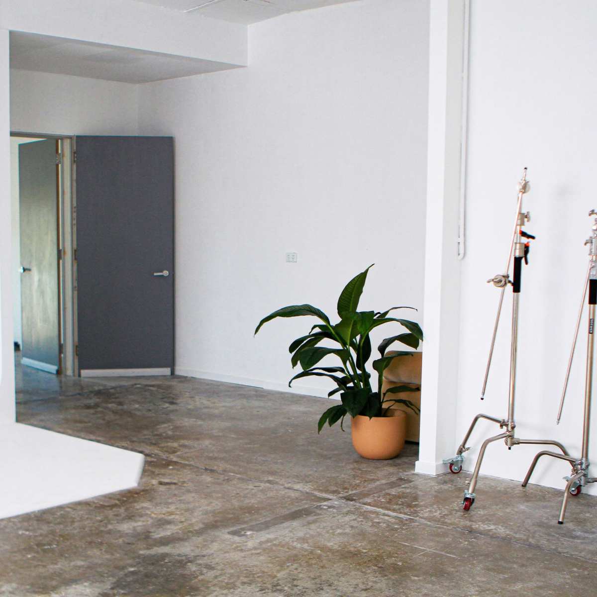 A minimalist studio space with white walls, a door in the background, a potted plant, two light stands, and a table.
