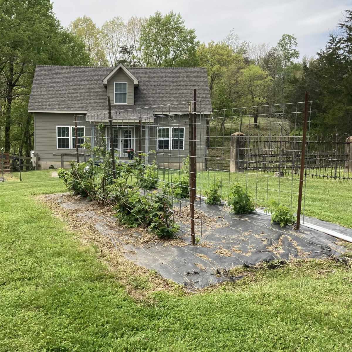 A vegetable garden with trellises is positioned in the foreground, while a house is visible in the background surrounded by trees.