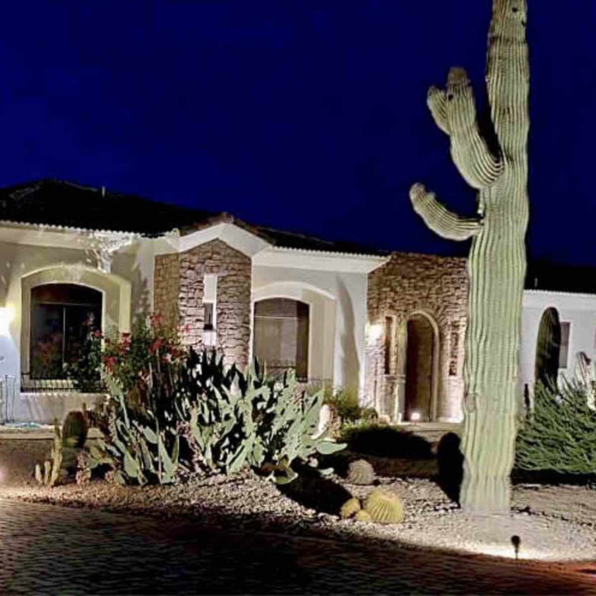 A well-lit house with stone accents is surrounded by desert vegetation and a tall cactus at night.