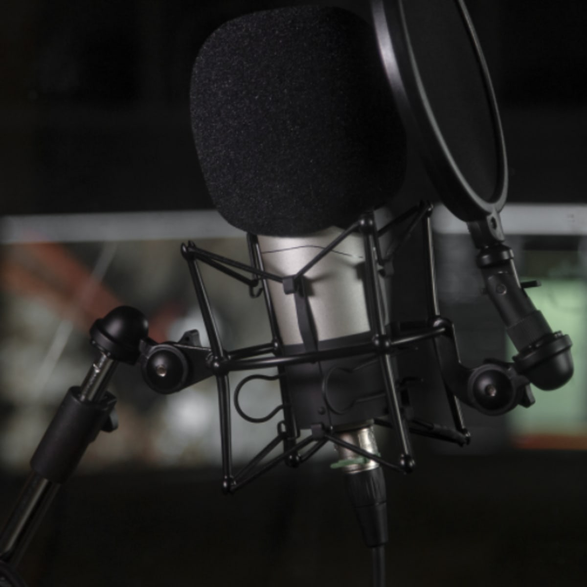 A microphone is mounted on a stand with a pop filter in a recording studio environment.