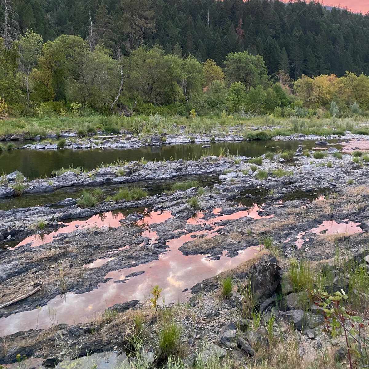 The scene shows a rocky riverbank reflecting a pink sky at sunset, surrounded by dense green forests.