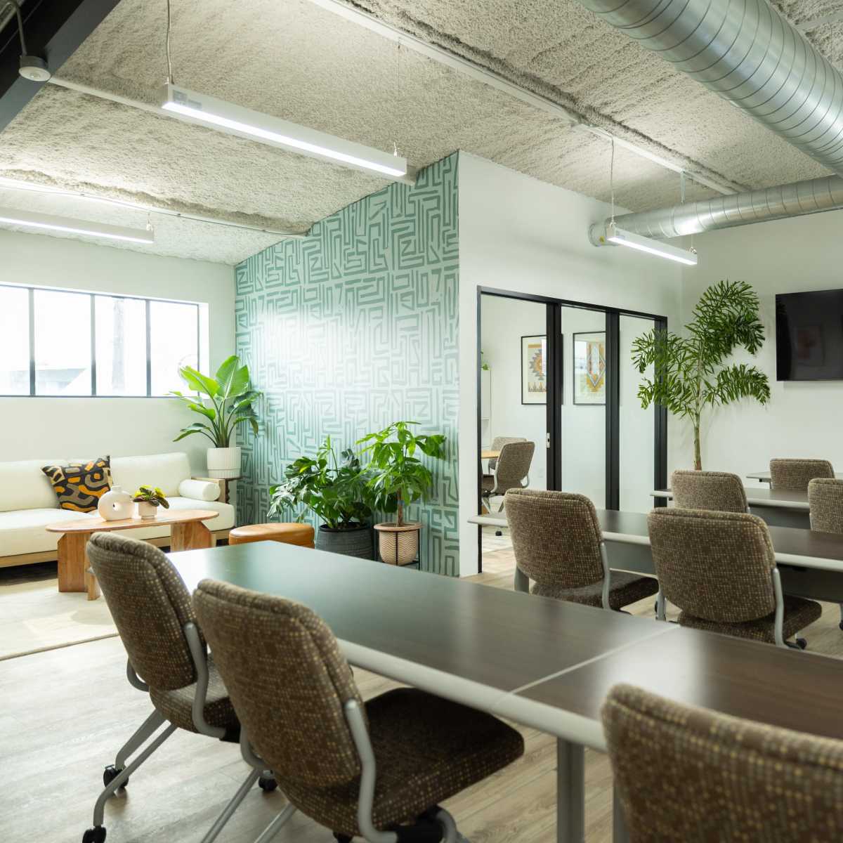 A modern meeting room with multiple tables and chairs arranged in rows, plants in the corners, and a television mounted on the wall.