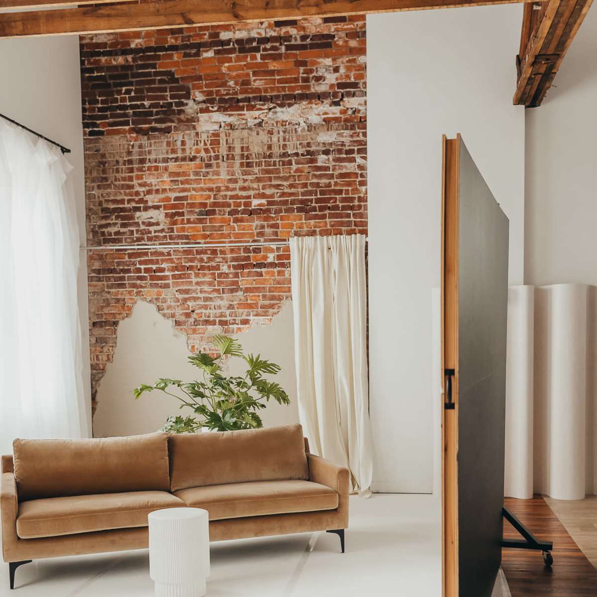 A modern interior space with a brown sofa, a white cylindrical table, a large backdrop on wheels, and a plant near a window with natural light.