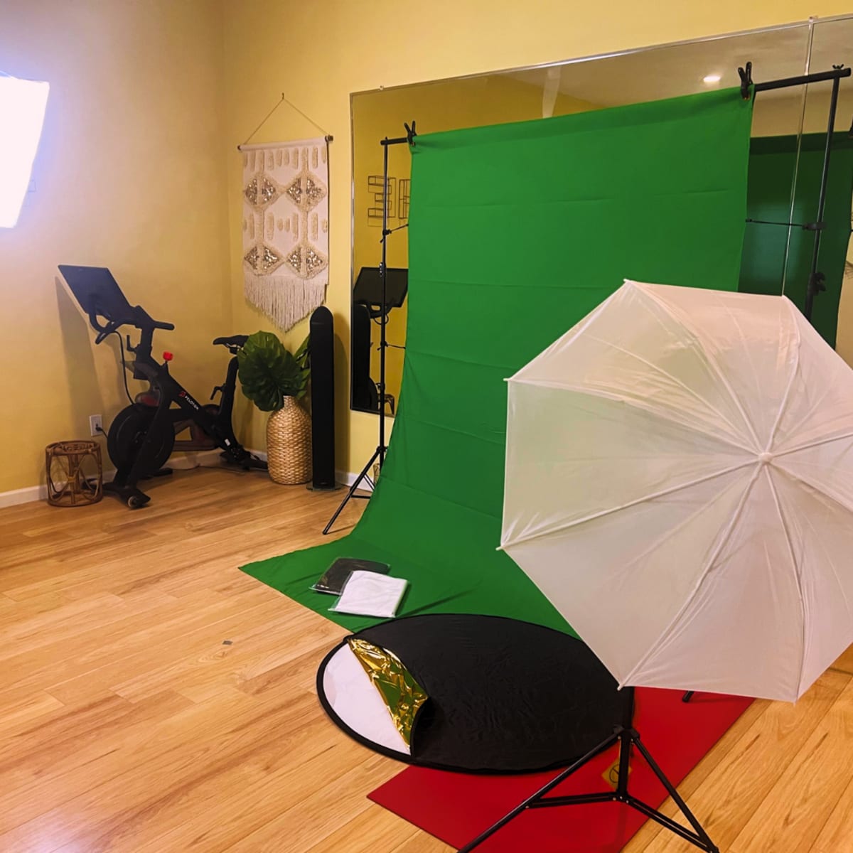 A photography setup with a green backdrop, lighting equipment, an umbrella, and a stationary bike in a brightly lit room.