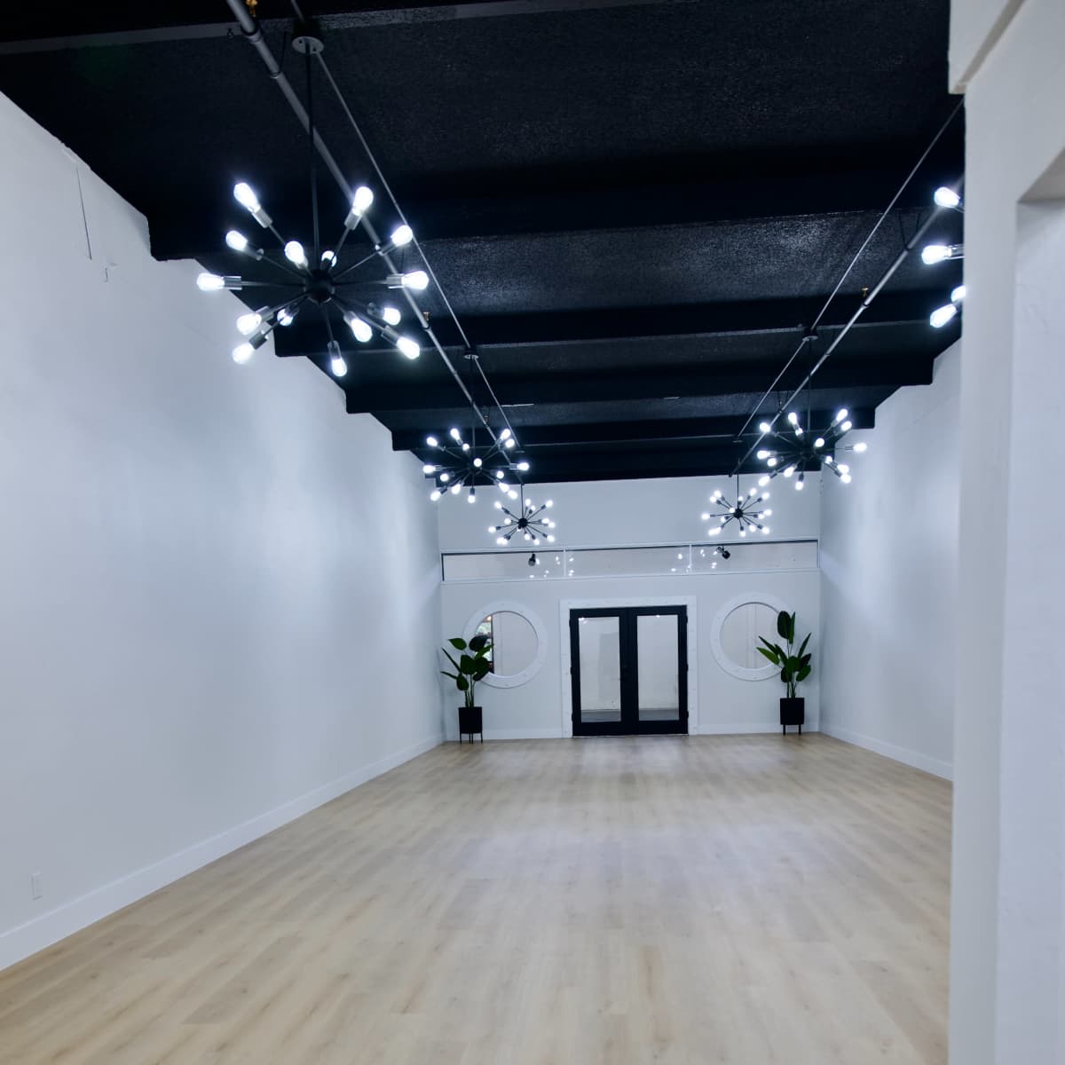 A spacious, brightly lit interior with modern lighting fixtures, wooden flooring, and two plants on either side of a set of glass doors.