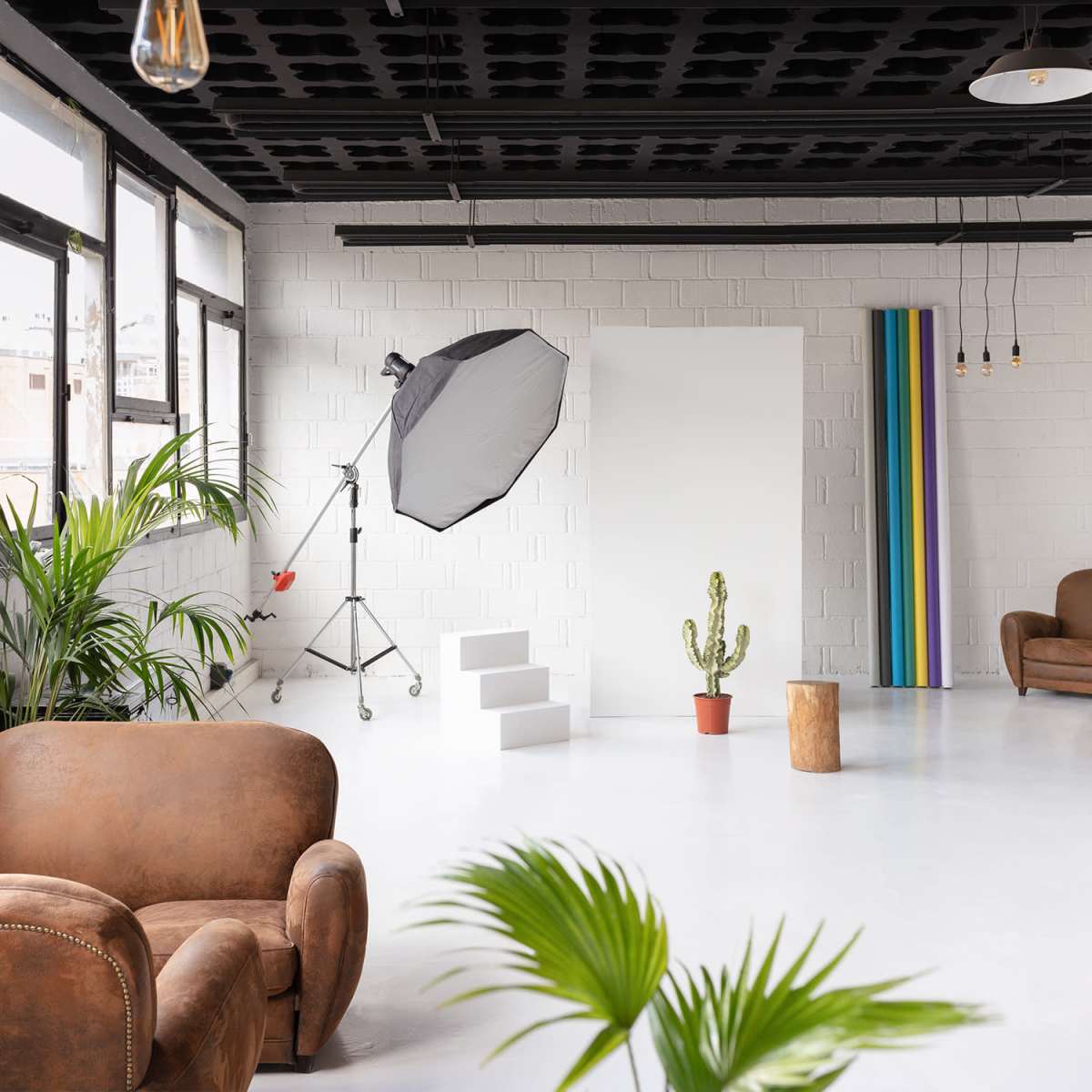 A spacious photo studio with plants, a white backdrop, a cactus in a pot, and two brown leather sofas.