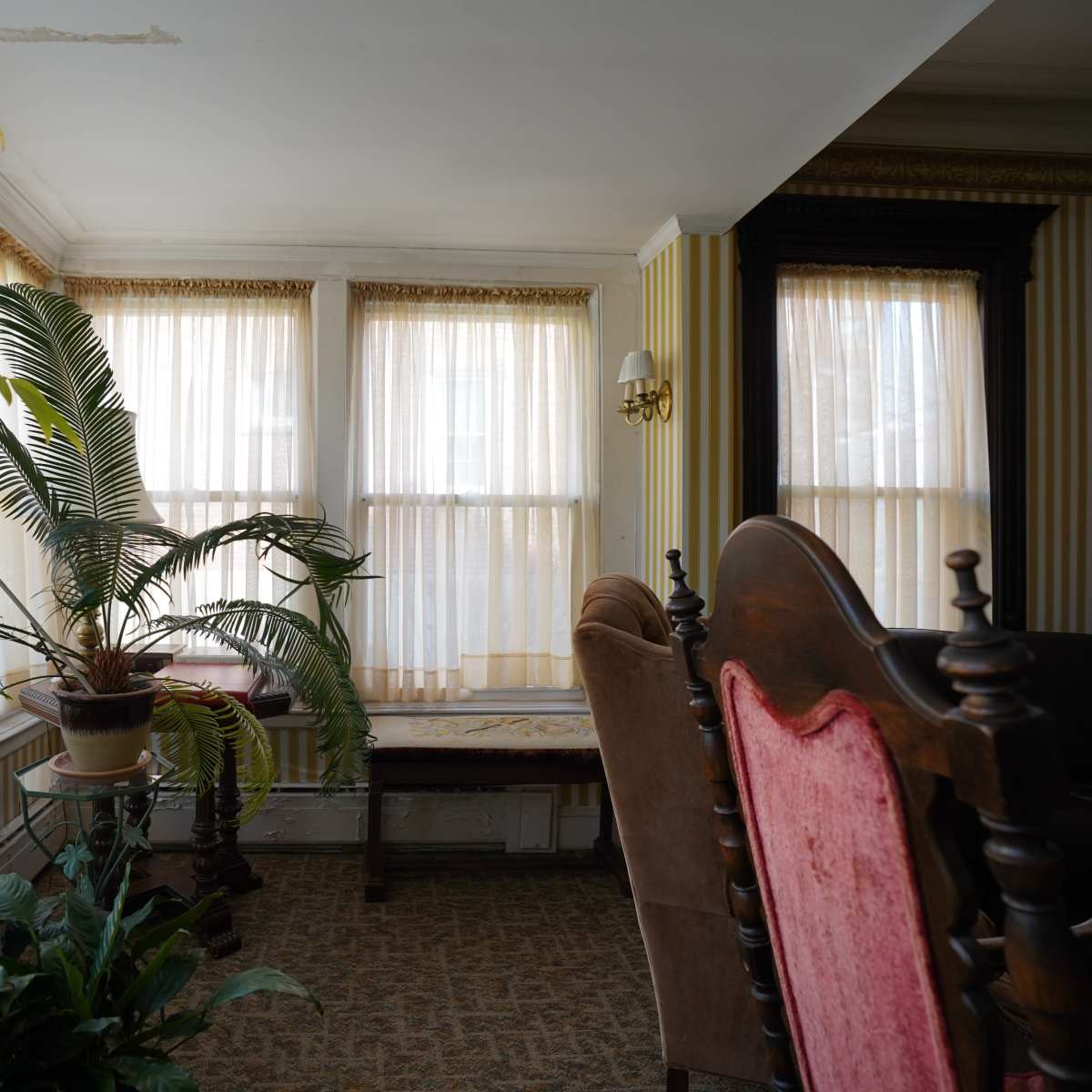 A sunlit room with large windows draped in sheer curtains, featuring a potted plant, a wooden bench, and upholstered chairs.