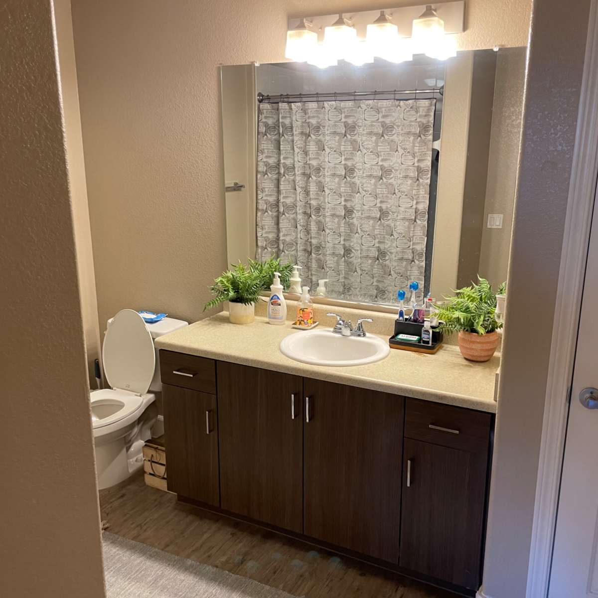A bathroom with a light-colored countertop, dark wood cabinets, a mirror above the sink, a toilet in the background, and decorative plants on the countertop.