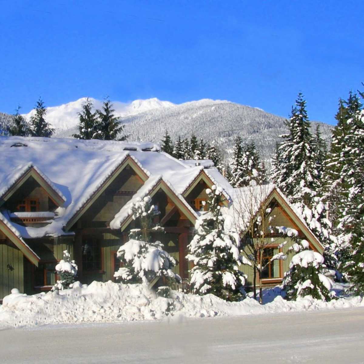 A snow-covered mountain house sits amidst tall evergreen trees under a clear blue sky.