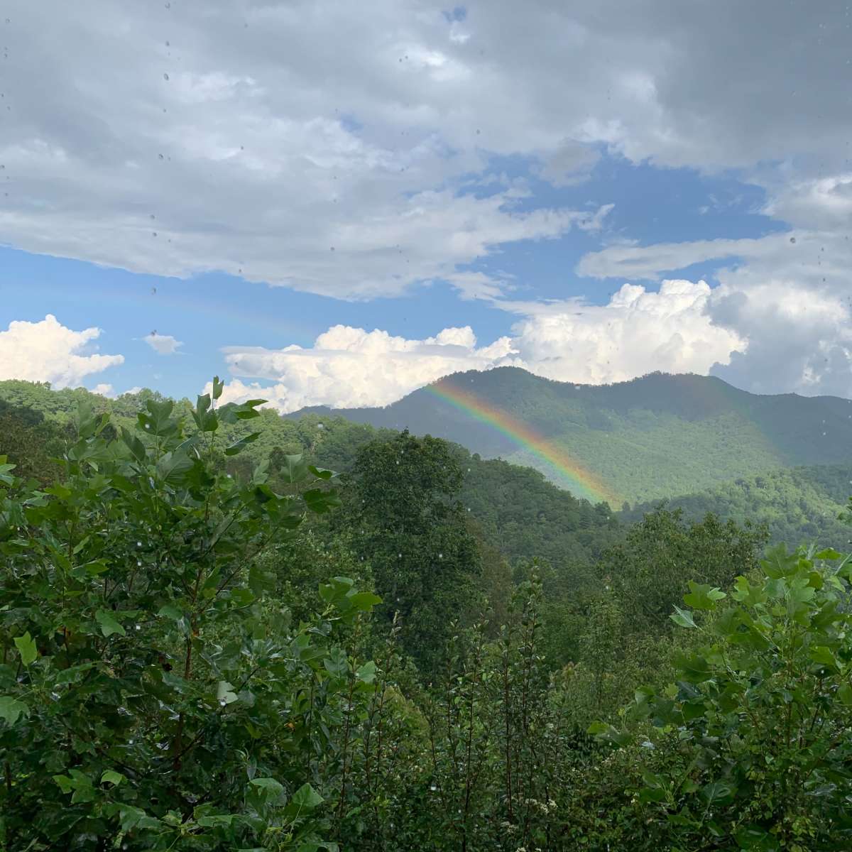 A rainbow arcs over a mountainous landscape surrounded by green foliage under a cloudy sky.