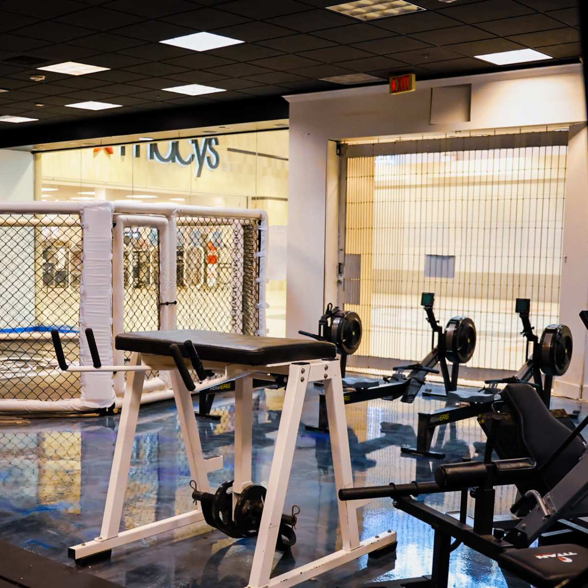 A gym interior featuring a wrestling cage, weightlifting equipment, and rowing machines.