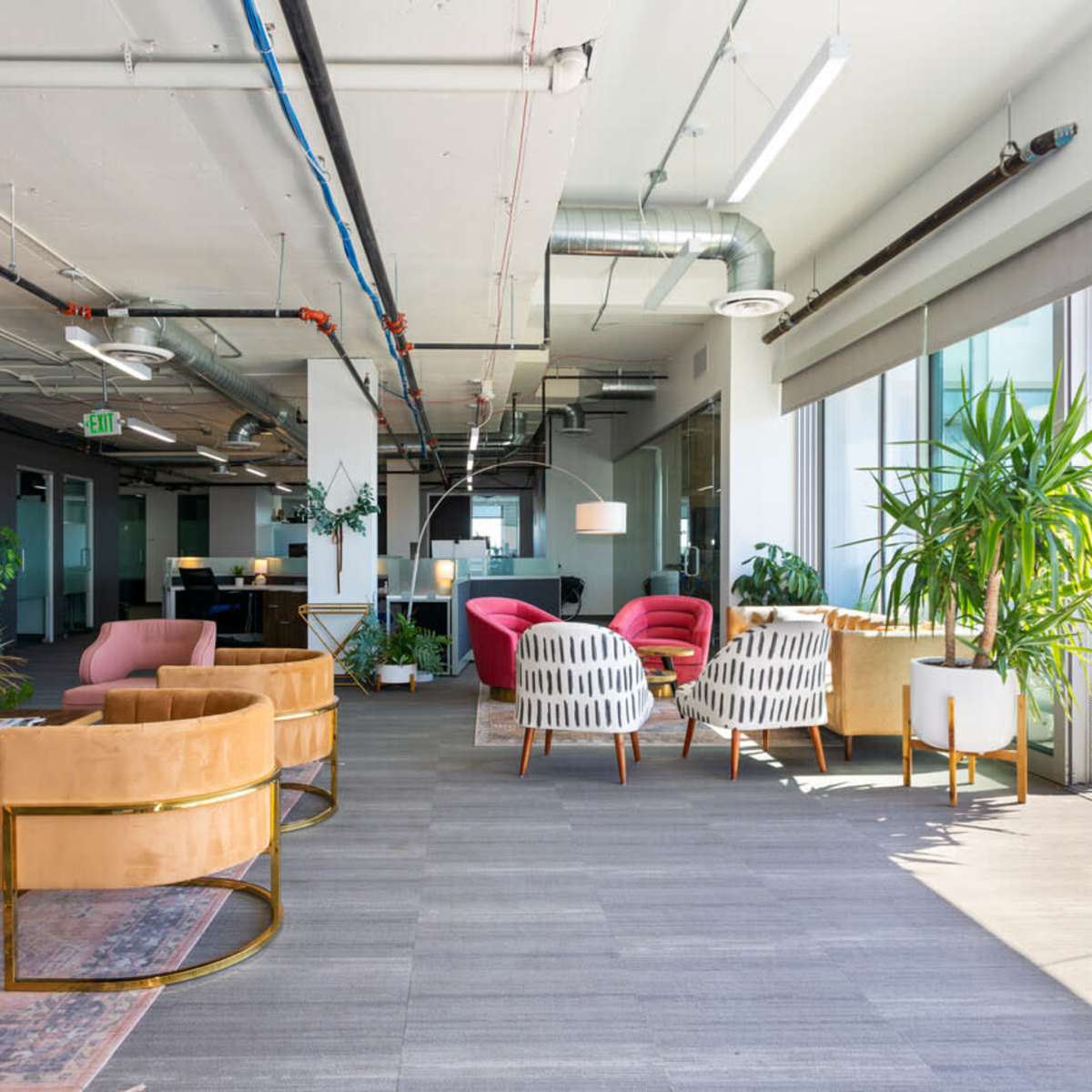 A modern office space with various seating arrangements, including chairs and couches, surrounded by potted plants and large windows.