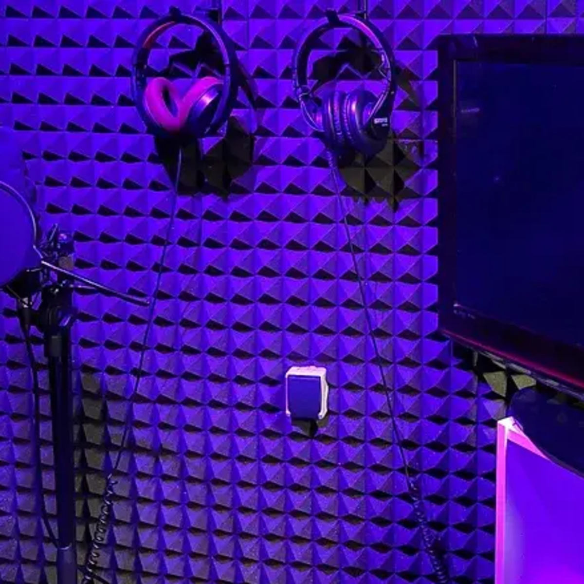 A soundproof recording studio with a microphone, headphones mounted on the wall, and a television on a stand.