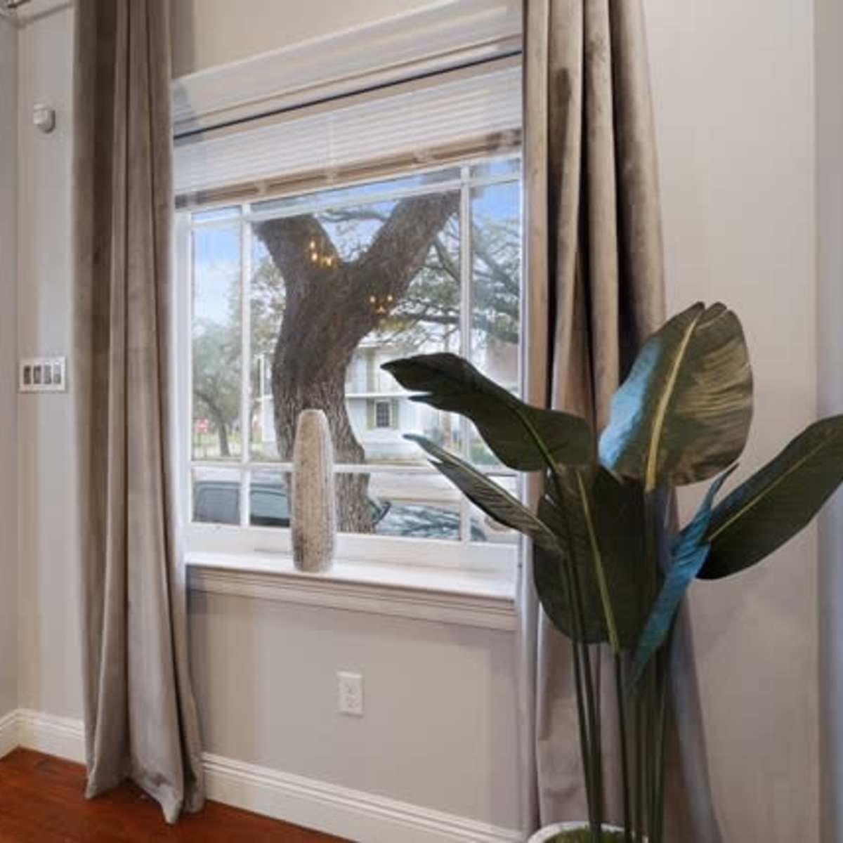 An entryway with a white door, large window featuring a tree outside, and a decorative plant near the window.