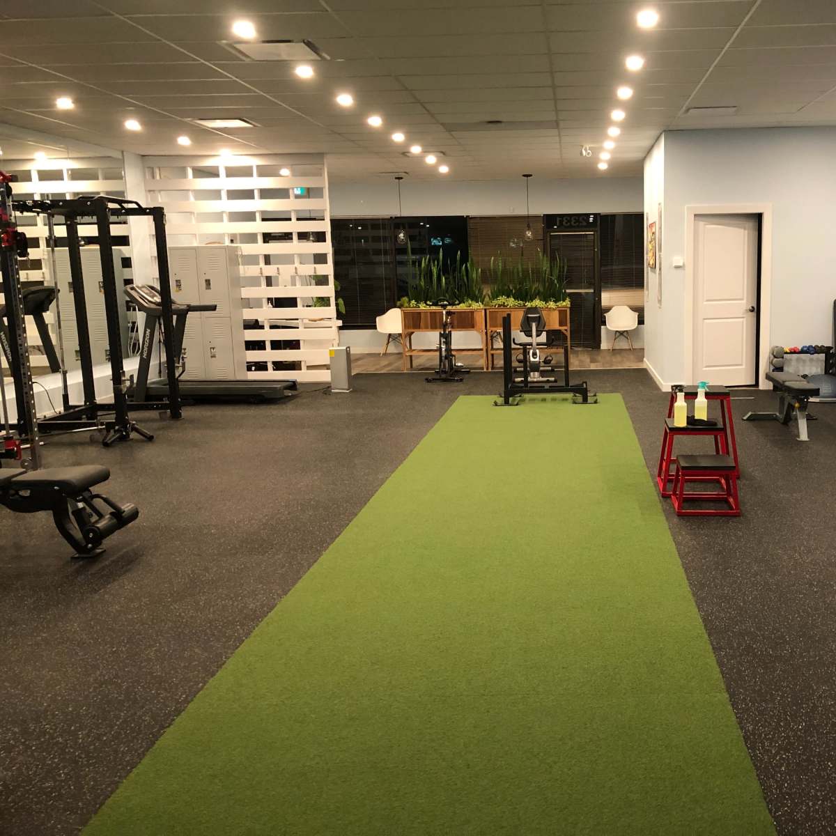 A spacious gym with a green turf area, various exercise equipment, and large windows letting in light.