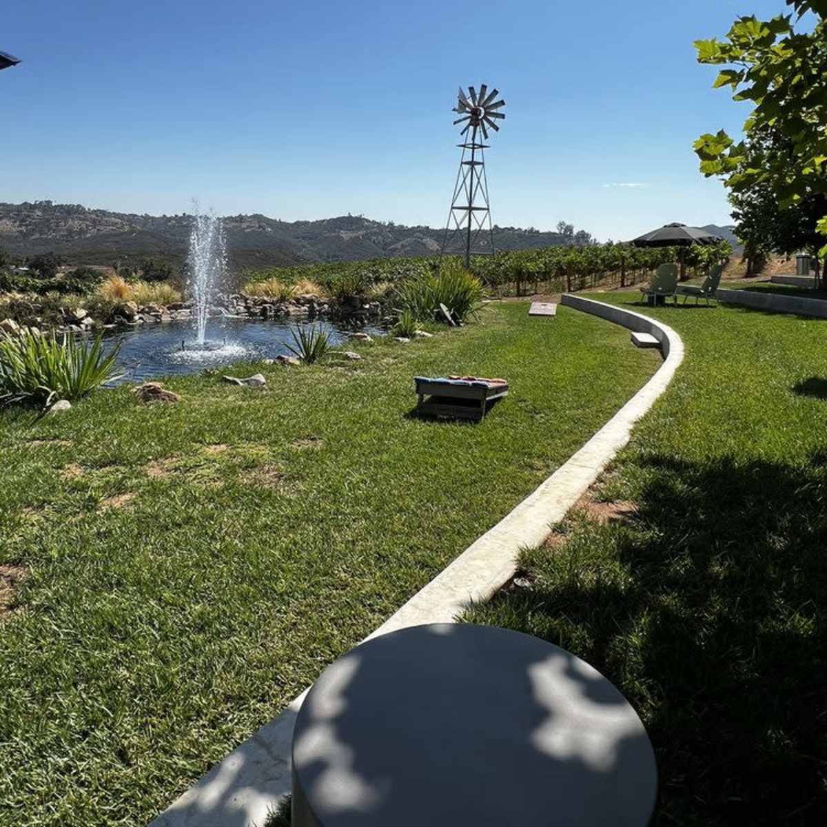 Rural Vineyard with Spectacular Country Views in Fallbrook Image in , Fallbrook, CA