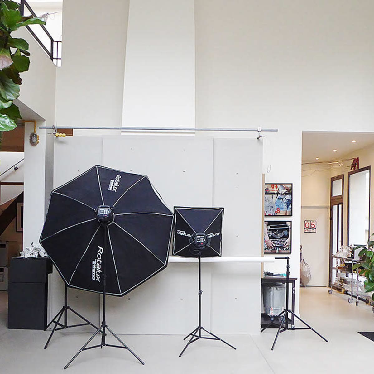 A well-lit studio space featuring two large softbox lights, a backdrop setup, and indoor plants.