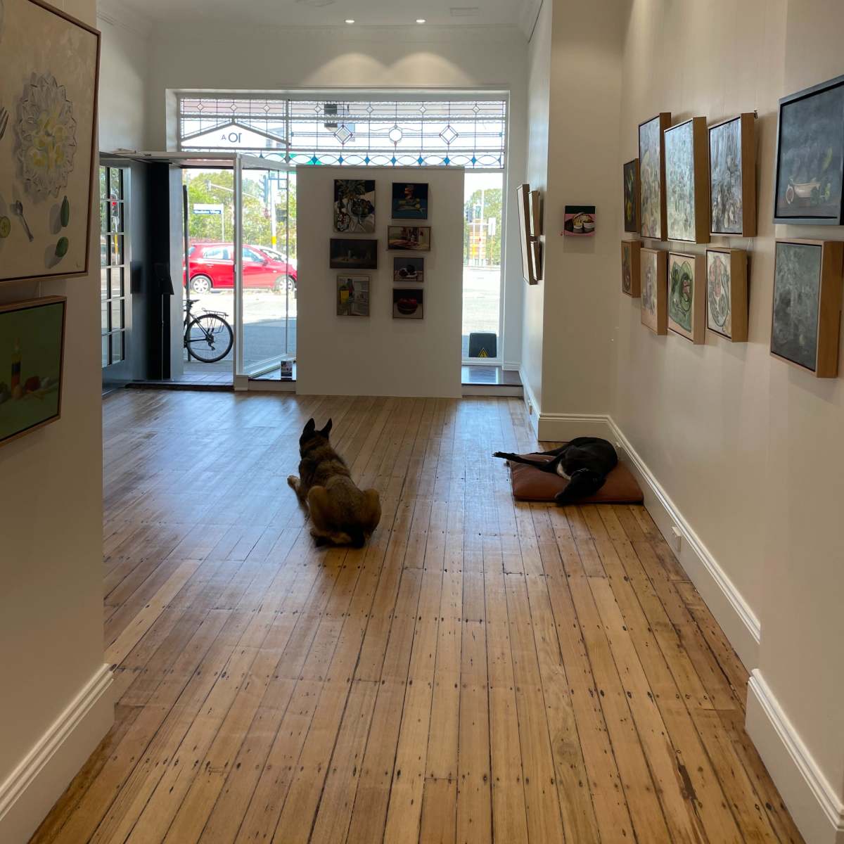 Exclusive Woollahra Gallery Space in Woollahra Image in Woollahra, Woollahra, NSW