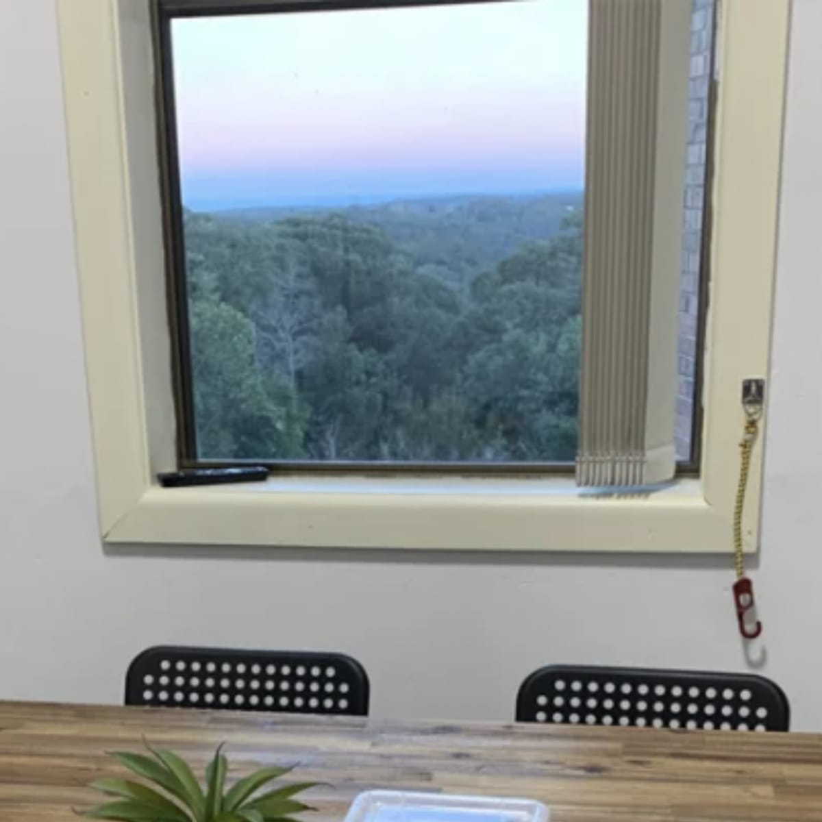 A table is set near a window with a view of trees and a plant beside it.