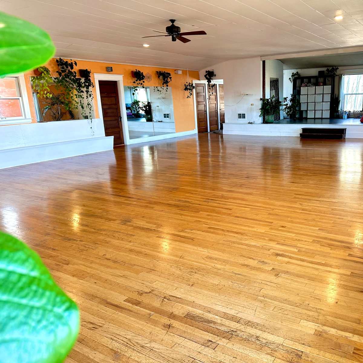 A spacious, empty room with hardwood floors, large windows, mirrors on one wall, and plants in the corners.