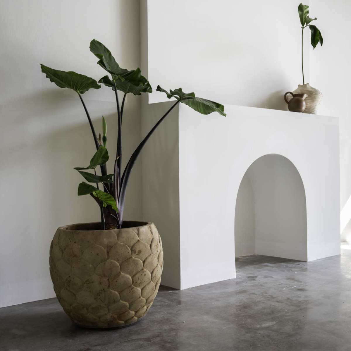 A minimalist interior with a large textured plant pot, a sculptural white wall feature, and a small plant in a basket on a shelf.