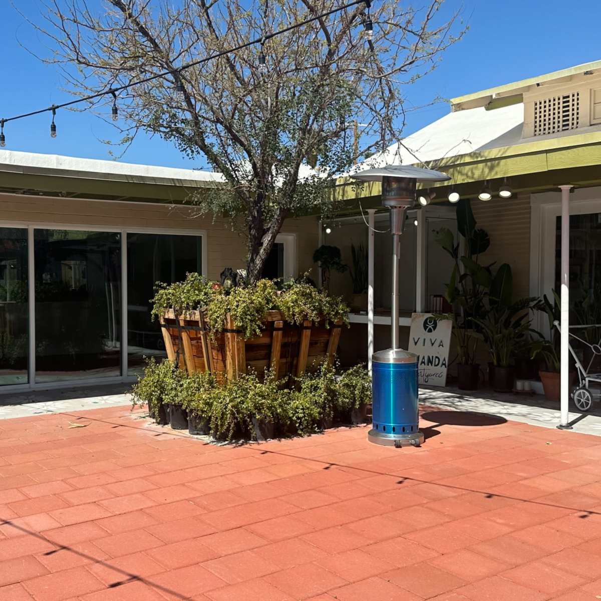 A courtyard with a large potted tree surrounded by plants, a blue trash can, and seating areas, all under a clear blue sky.