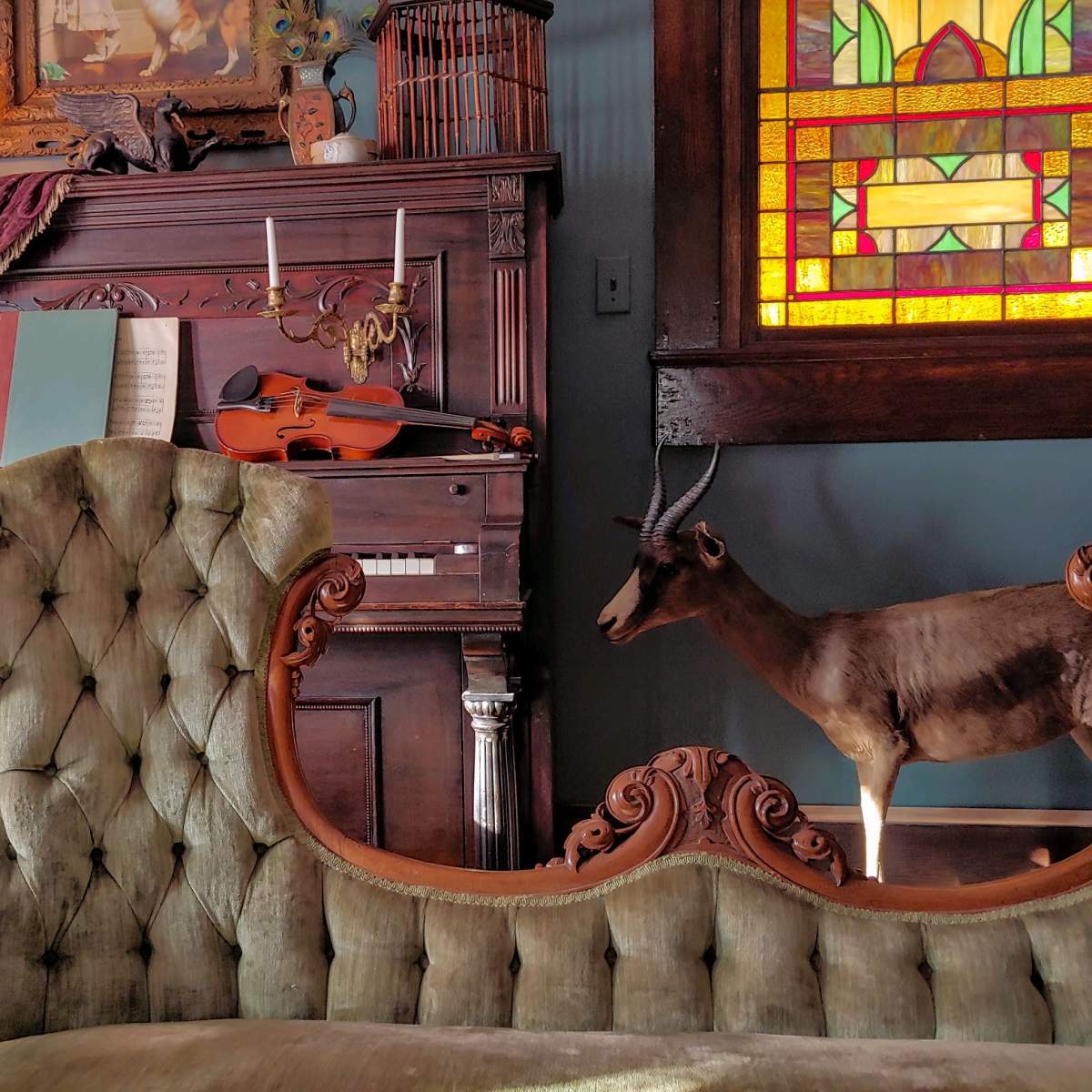 A vintage room with a dark wooden piano, a violin, sheet music, a green tufted sofa, and a mounted deer on display near a stained glass window.