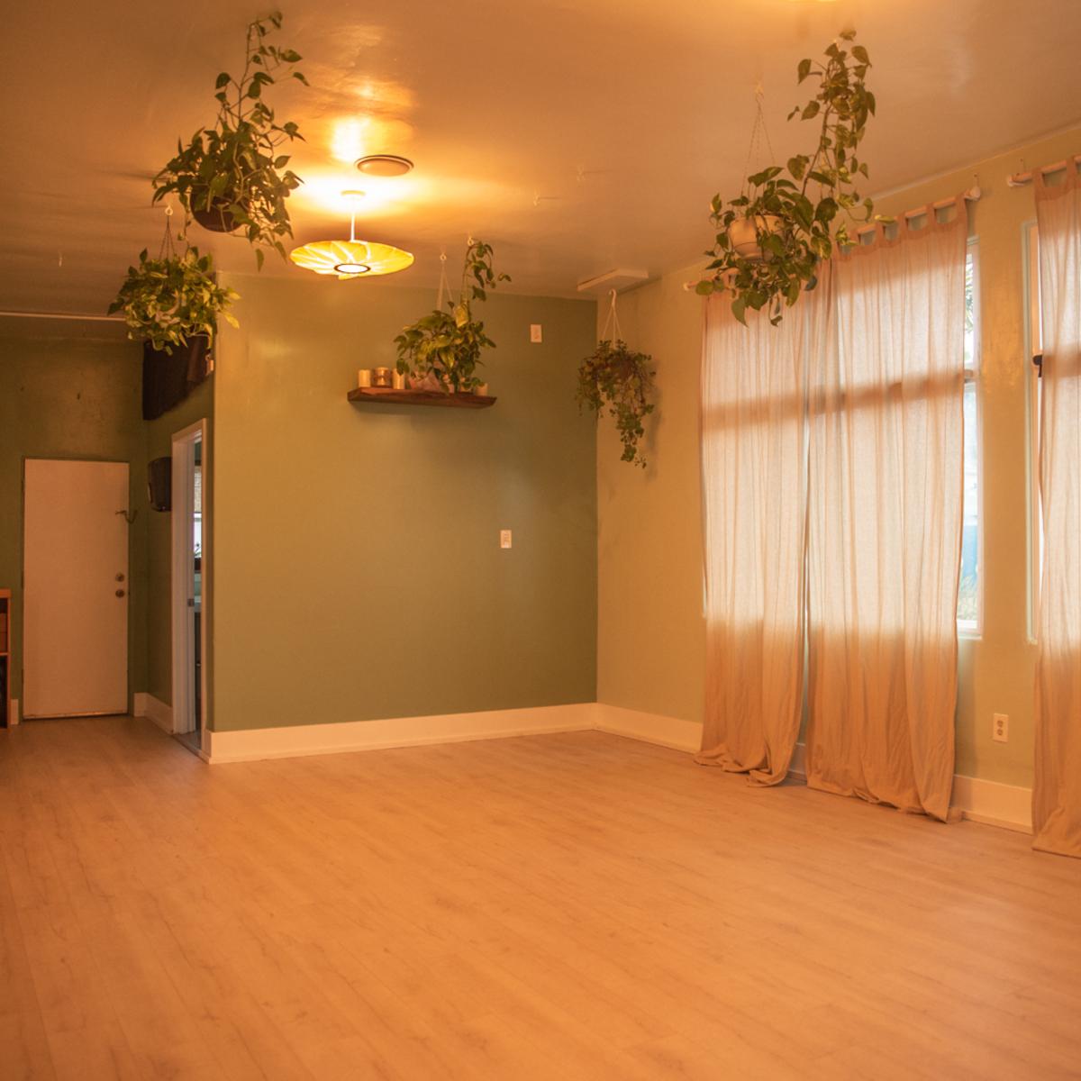 A spacious, empty room with light-colored wooden flooring, large windows covered by sheer curtains, and several hanging plants from the ceiling.