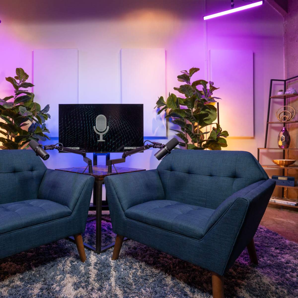 Beautiful Video Podcasting Studio in Lakeview in Chicago Image in Lake View, Chicago, IL