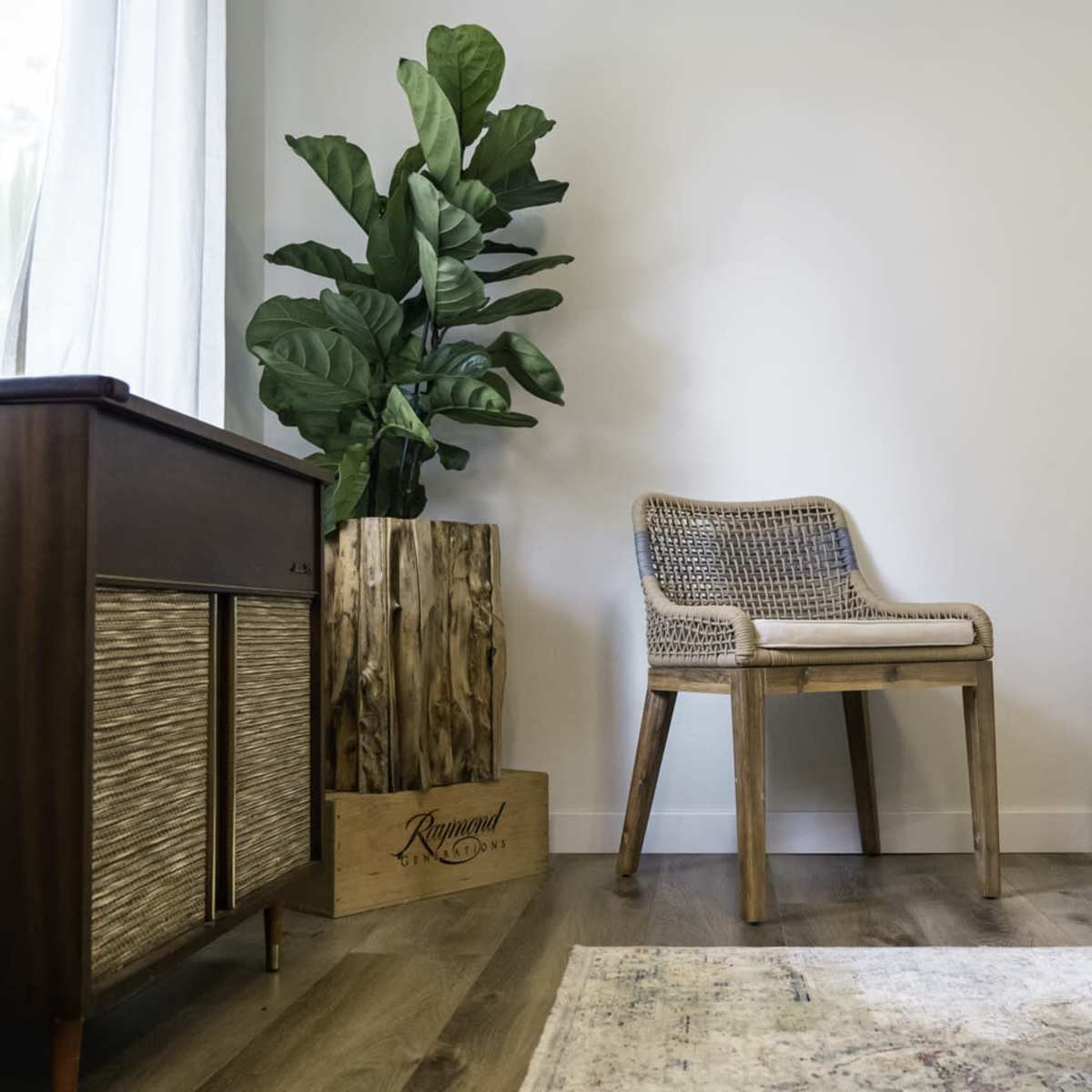 A wooden chair and an acoustic guitar stand beside a tall potted plant in a minimalist room with light-colored walls.