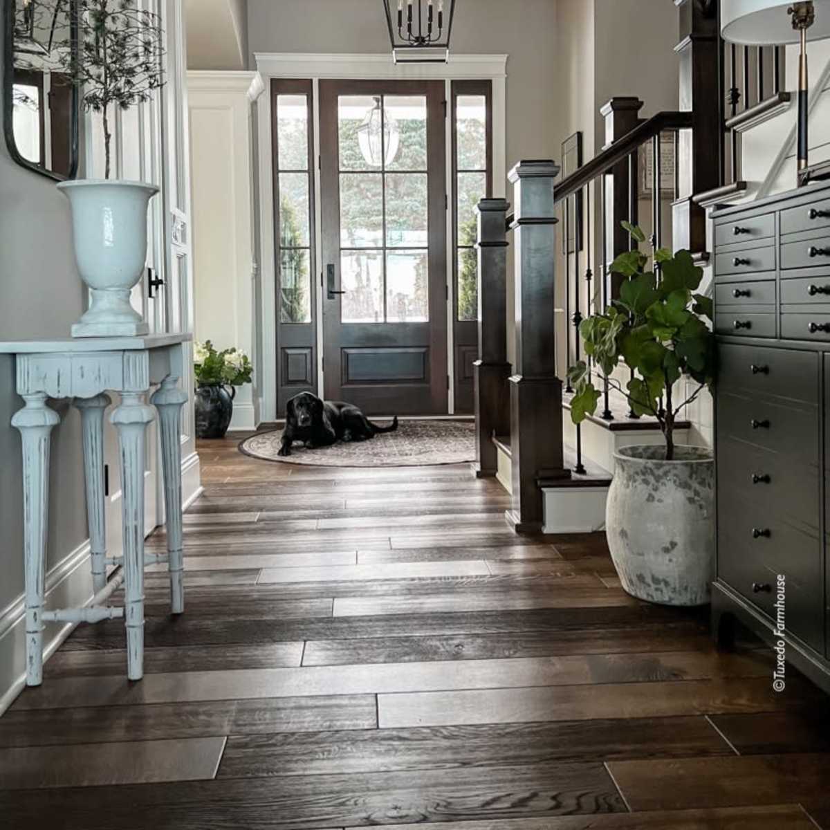 A well-lit entryway featuring a staircase, a console table, a potted plant, and a dog resting on the wooden floor.