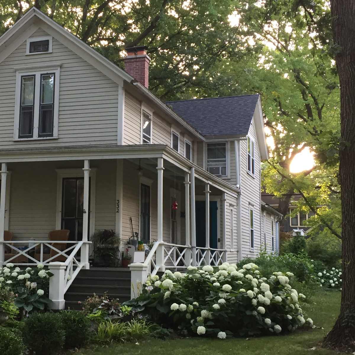 A two-story, light-colored house with a front porch and a well-kept garden featuring white hydrangeas is surrounded by trees.