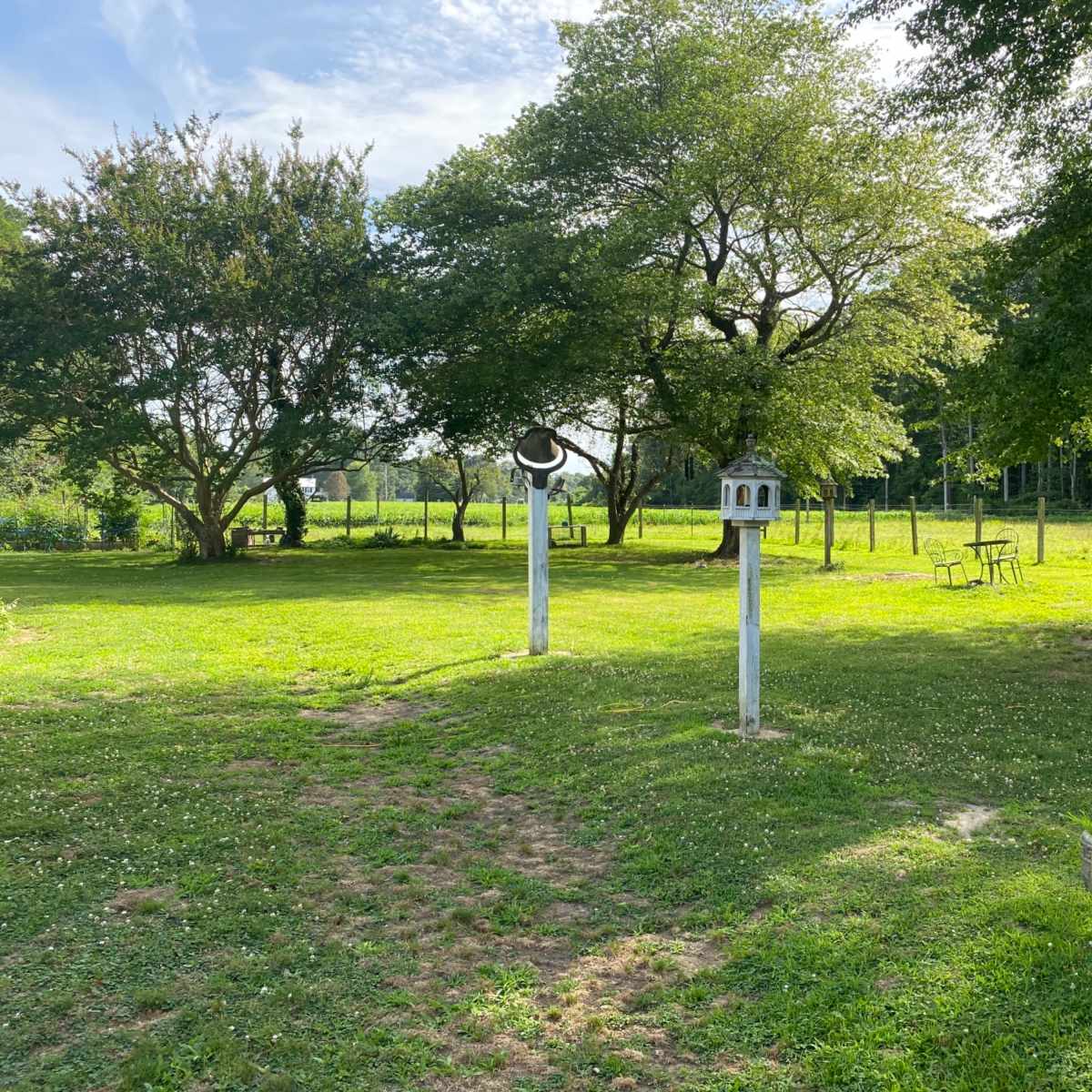 A grassy area with trees, a bird feeder, and garden decorations set against a backdrop of a fenced field.