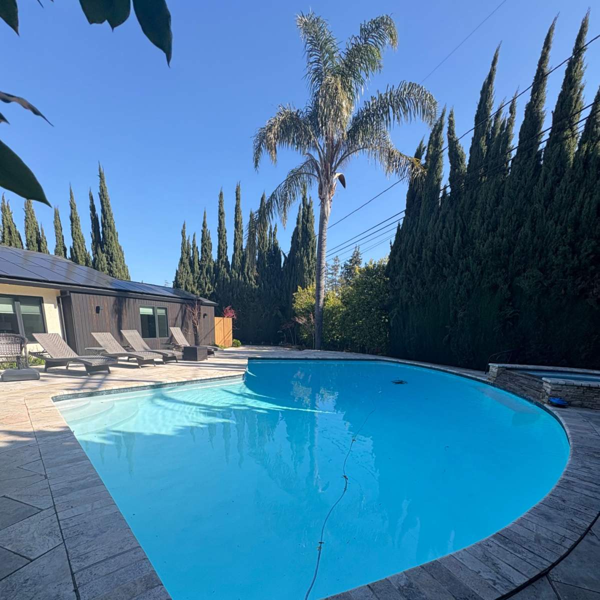 Gorgeous backyard with pool and hot tub. in Mountain View Image in Rex Manor, Mountain View, CA