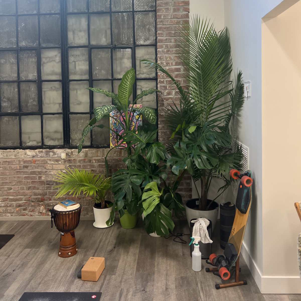 A corner of a room with large indoor plants, a wooden drum, a spray bottle, and a skateboard against a wall of exposed brick and large windows.